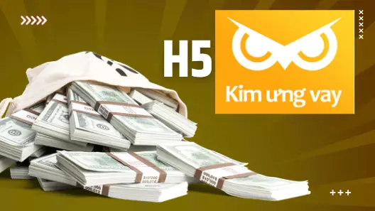 3-h5-kim-ung-vay-la-gi
