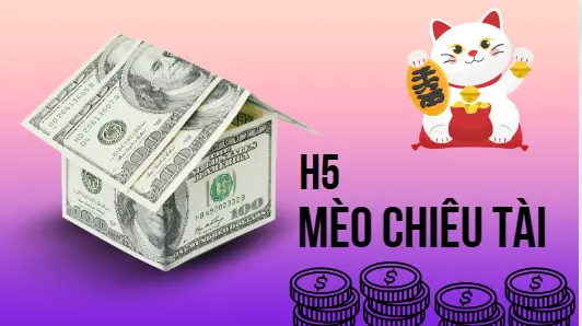 3-h5-meo-chieu-tai-la-gi